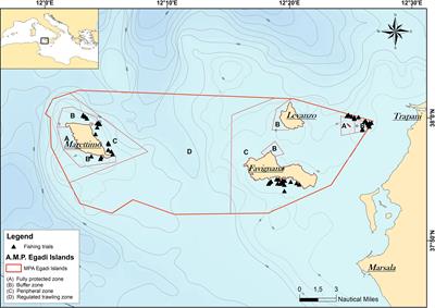 Guarding net effects on landings and discards in Mediterranean trammel net fishery: Case analysis of Egadi Islands Marine Protected Area (Central Mediterranean Sea, Italy)